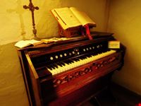 organo