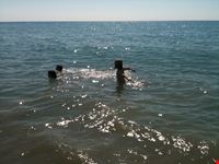 Il mare di Ceriale