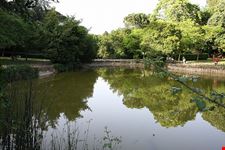 Villa Ada