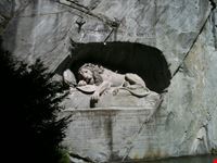 il leone morente