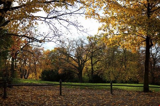 Viktoriapark - Suziesparkle - Suziesparkle - Creative Commons
