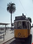 IL TIPICO TRAM