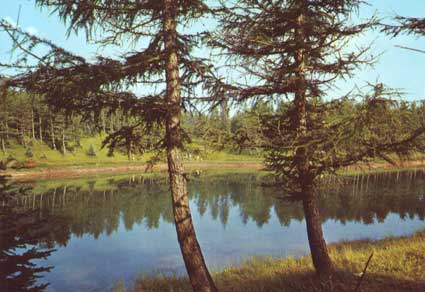 Lago della Ninfa