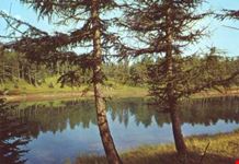Lago della Ninfa