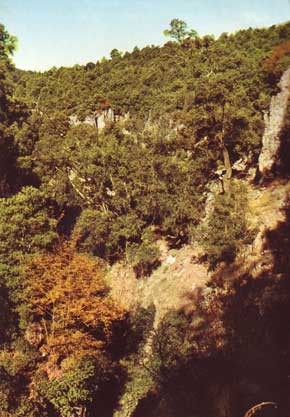 Paesaggio caratteristico
