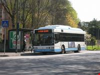 Bus a Ravenna