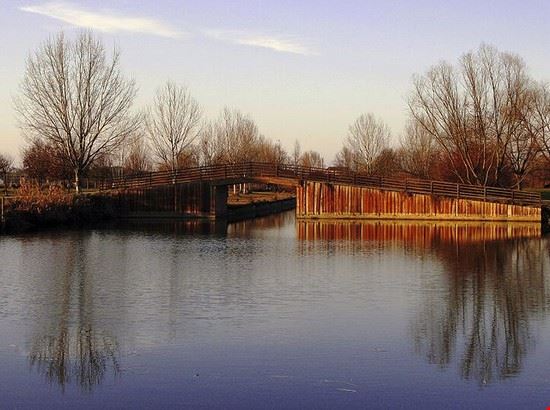  Ferrara FabioC. - Creative Commons FabioC.
