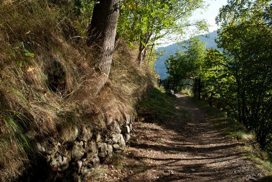 Passeggiando nel sentiero dei Bisses