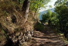 Passeggiando nel sentiero dei Bisses