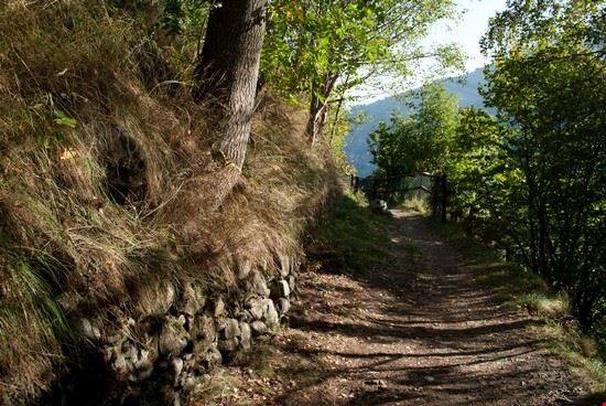 Nendaz, il paese dei bisse. Nendaz  Giovanna Curto - Giovanna Curto Giovanna Curto