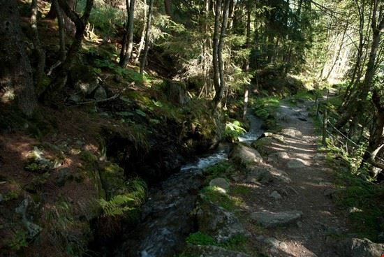 Nendaz, il paese dei bisse. Nendaz  Giovanna Curto - Giovanna Curto Giovanna Curto