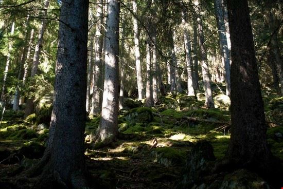 Nendaz, il paese dei bisse. Nendaz  Giovanna Curto - Giovanna Curto Giovanna Curto