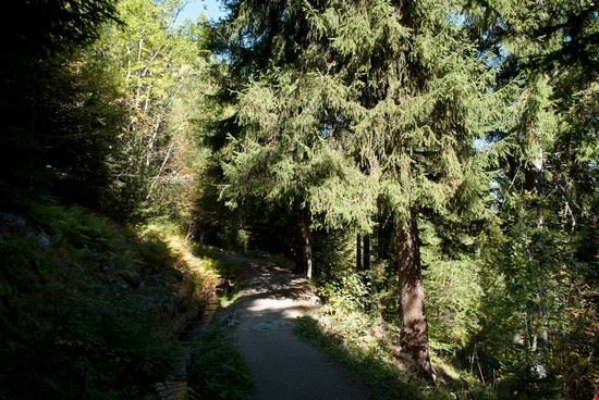 Nendaz, il paese dei bisse. Nendaz  Giovanna Curto - Giovanna Curto Giovanna Curto
