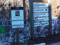 Toronto Zoo