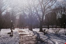Allan Gardens in inverno