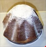 Pandoro