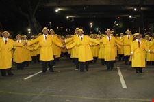 Unidos de Tijuca, la Scuola di Samba campione nel 2010