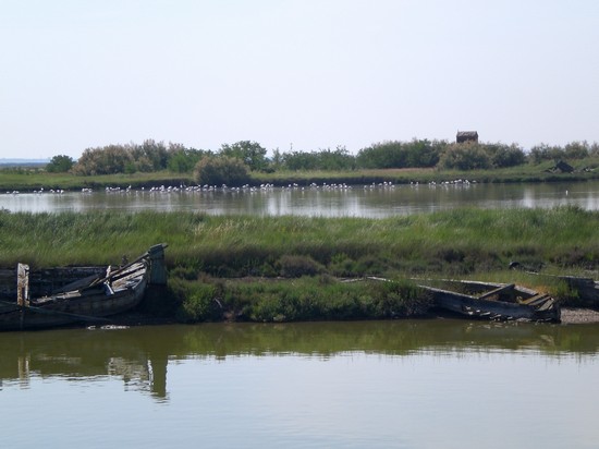 laguna