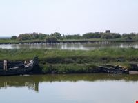 laguna