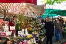 Mercato dei Fiori a Nizza