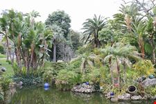 Giardino del casino, Montecarlo
