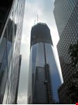 sempre piu in altocon orgoglio new york