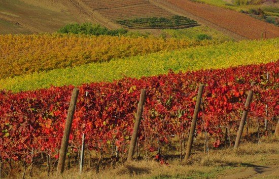 Autunno in Toscana!