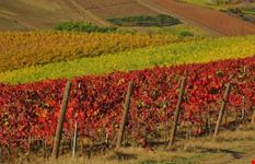 Autunno in Toscana!