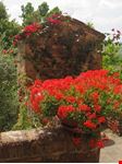 Castelli e borghi medievali di Toscana