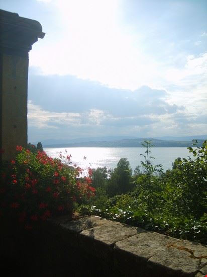 Il Castello di Morat/Murten Berna  