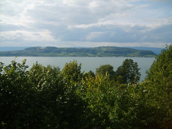 Vully