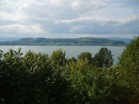 Il Castello di Morat/Murten Berna  