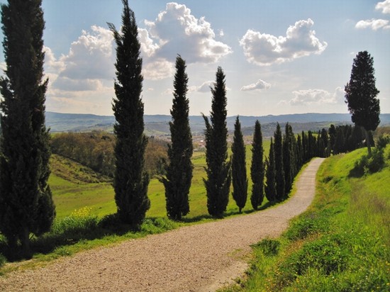 Panorami di Toscana