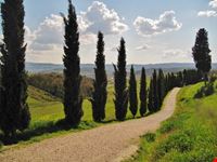 Panorami di Toscana