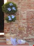 Matrimonio in Toscana, a Certaldo Alto (FI)
