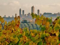 Campagna toscana: le torri fra le viti