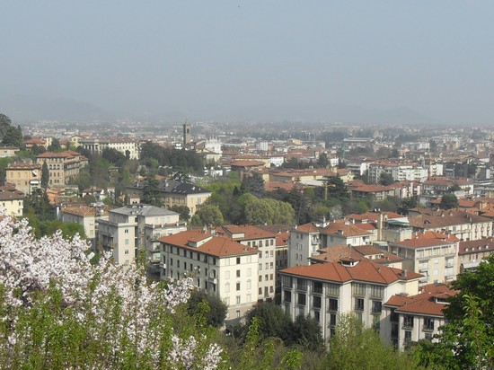 Panorama
