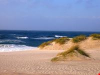 amburgo isola di sylt