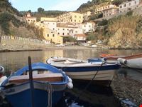 Il paese di Gorgona visto dal porticciolo