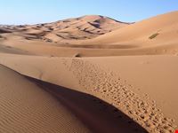 Deserto del Sahara