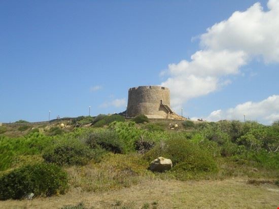 Torre di Longosardo