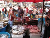 La pescheria di Catania (il mercato del pesce)