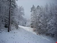Nevicata al Villaggio Palumbo (Sila)