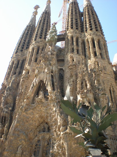 Sacrada Famiglia