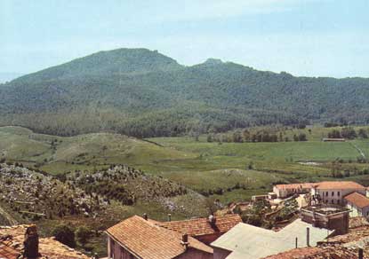 La selva