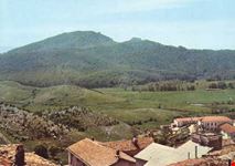 La selva