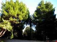 Il parco di Villa Murri