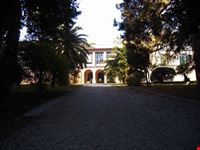 Villa Baruchello: il viale d'ingresso