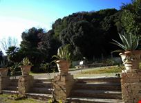 La fontana nel giardino e il bosco alle spalle