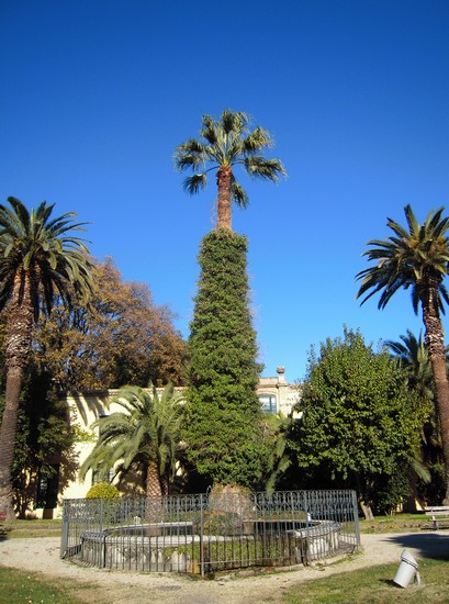 La fontana immersa nel giardino